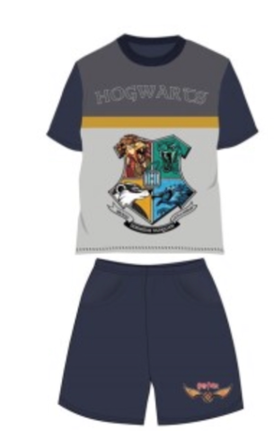 Pijamas de Harry Potter